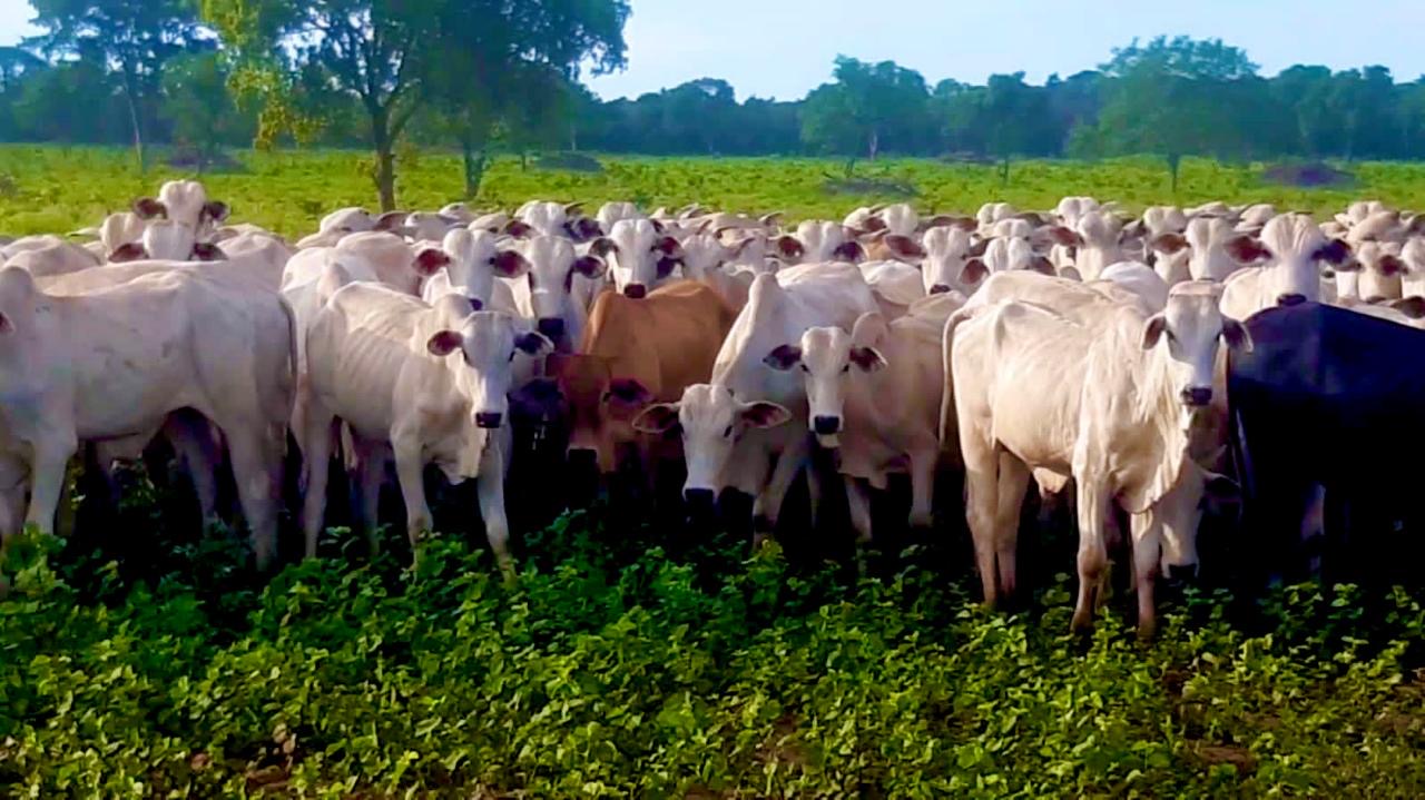 Imagem de destaque do imóvel