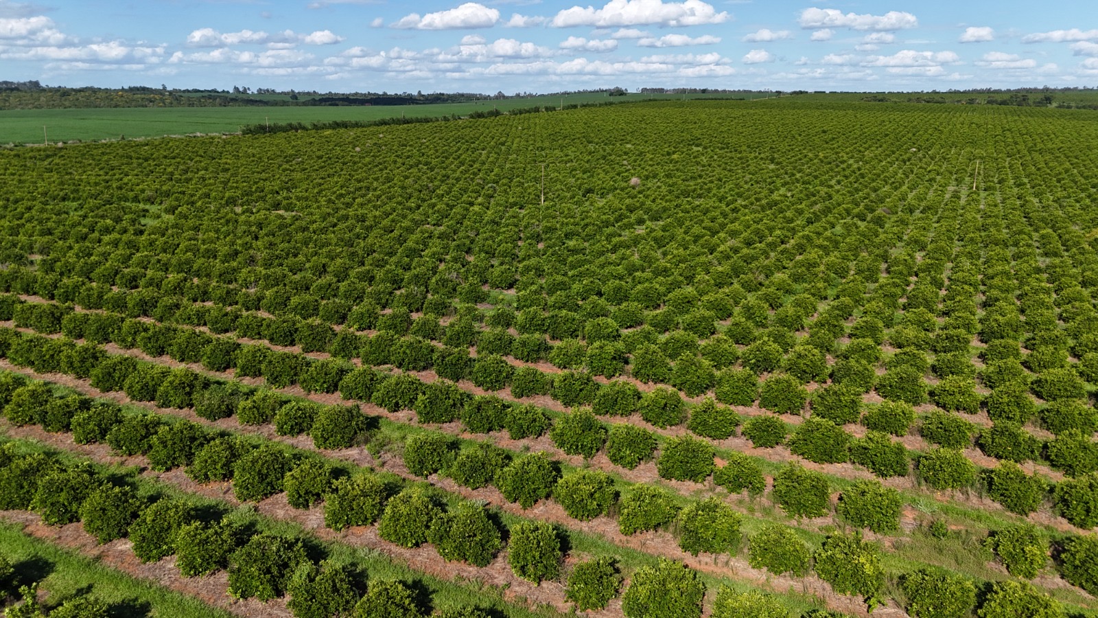 Imagem de destaque do imóvel