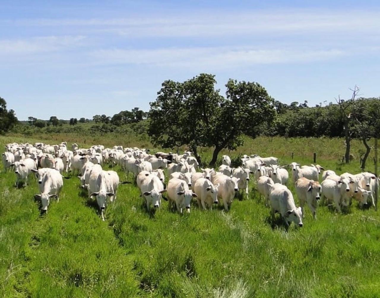 Imagem de destaque do imóvel