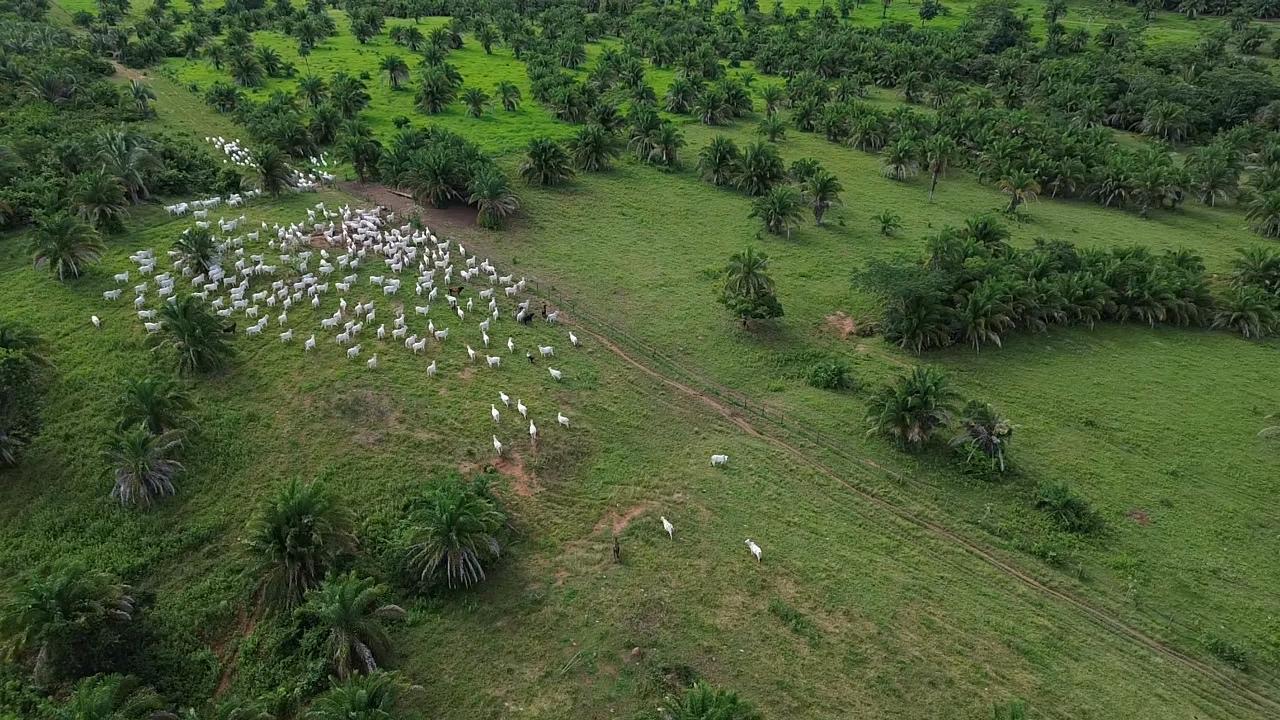 Imagem de destaque do imóvel