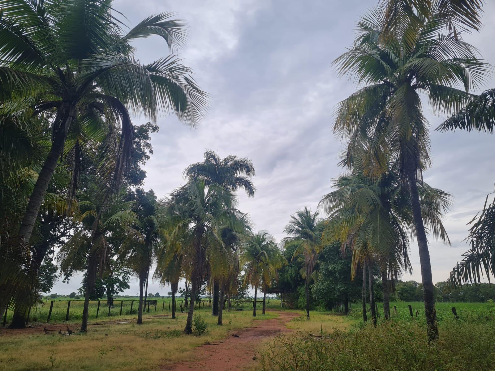 Imagem de destaque do imóvel