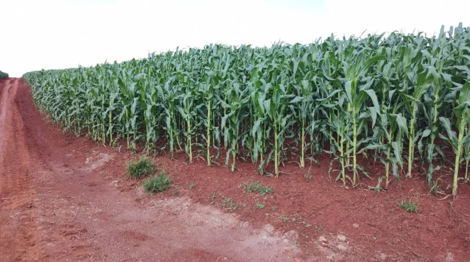 Imagem de destaque do imóvel