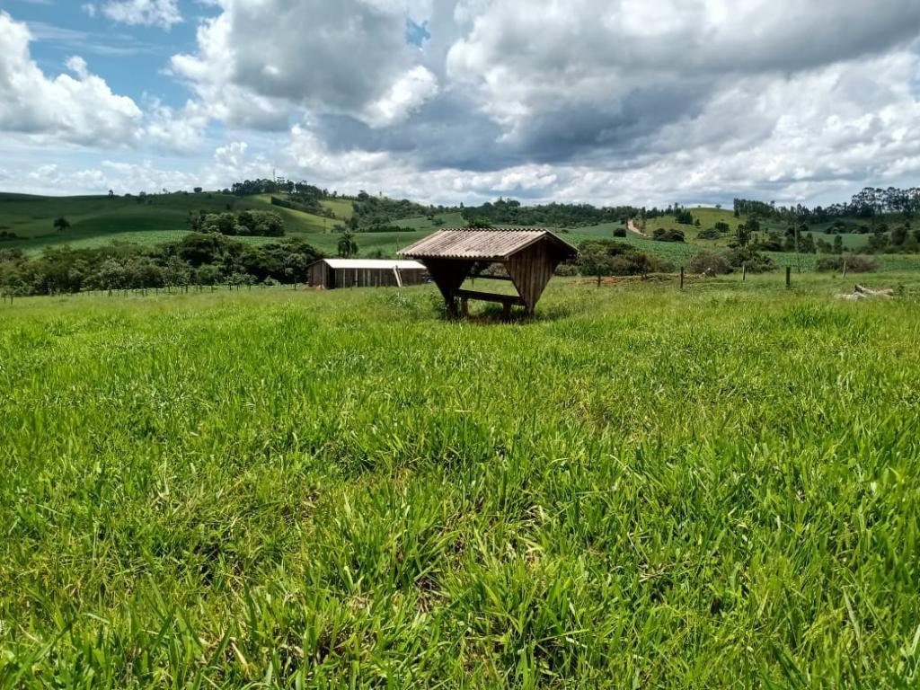 Imagem padrão