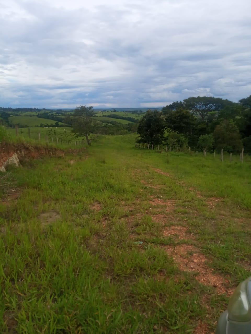 Imagem padrão