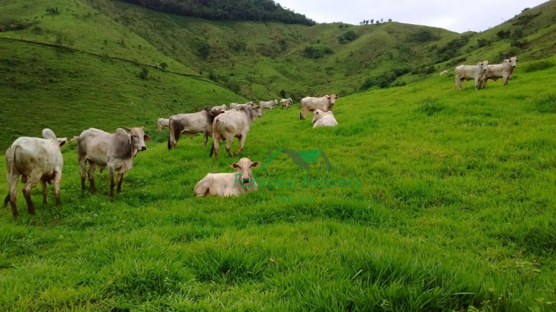 Imagem padrão