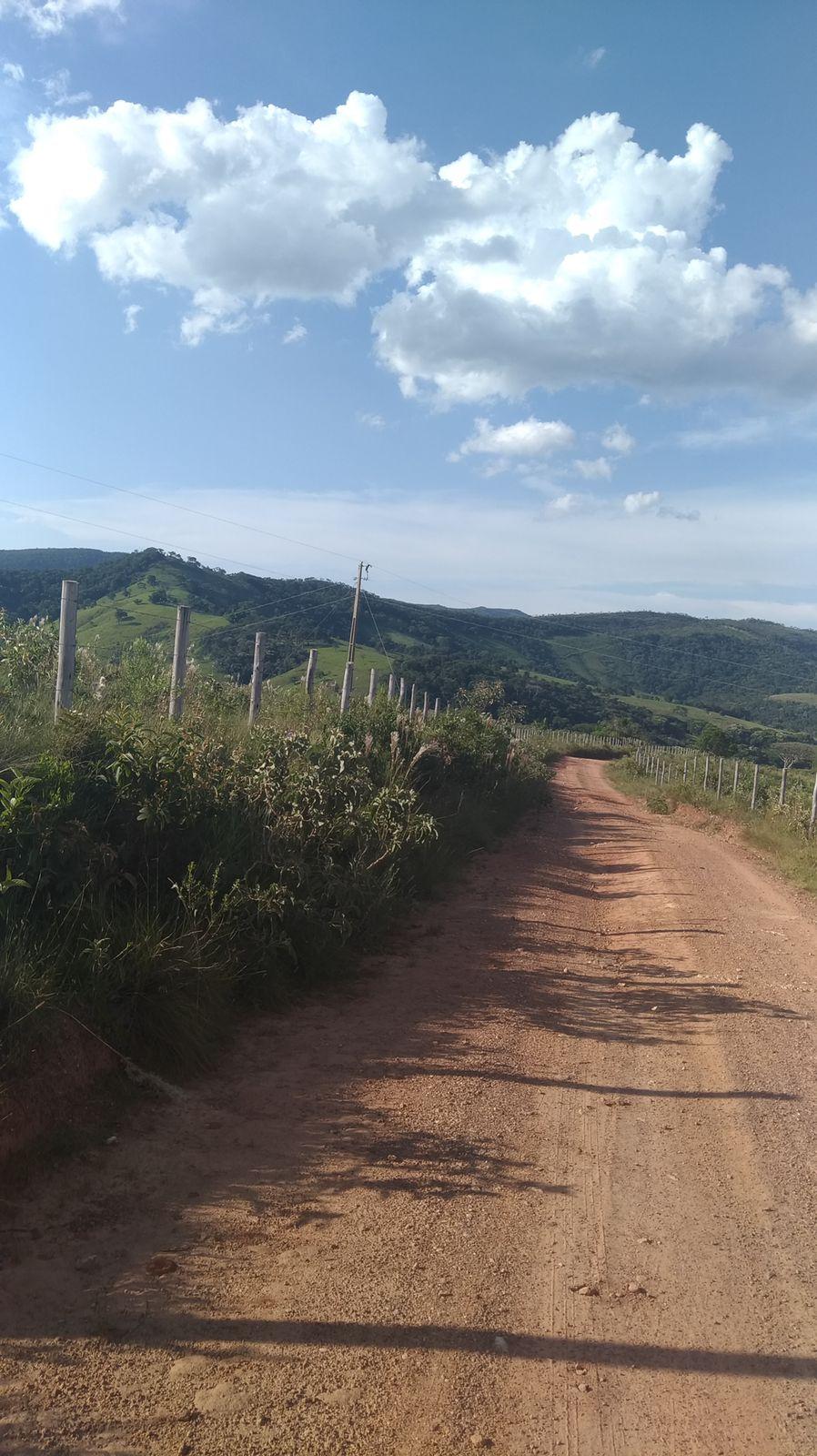 Imagem padrão