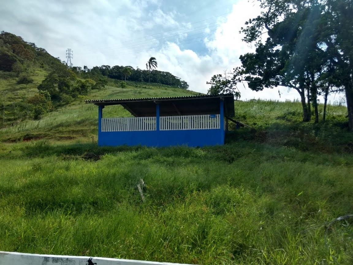 Imagem padrão