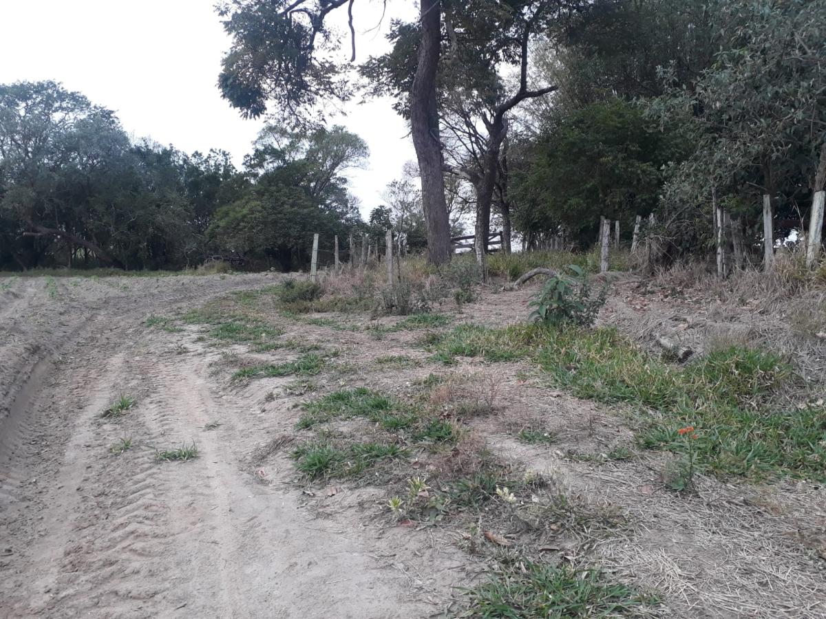 Imagem padrão