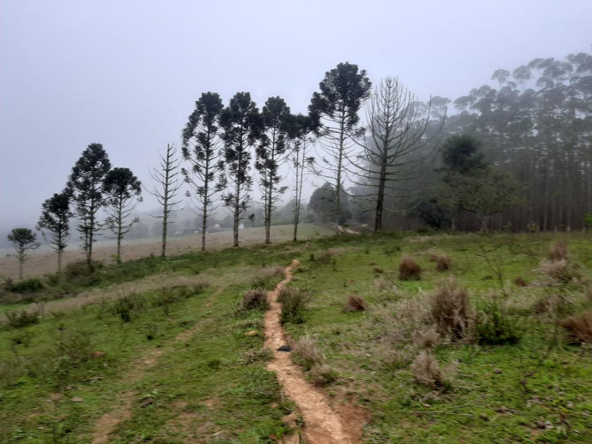 Imagem padrão