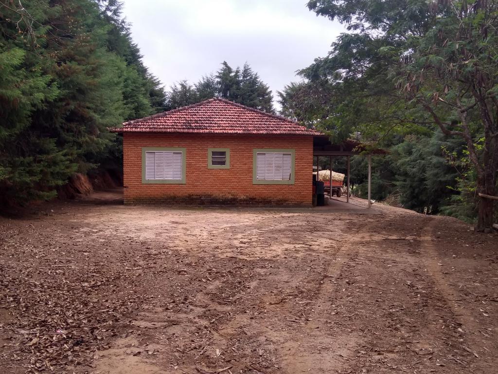 Imagem padrão