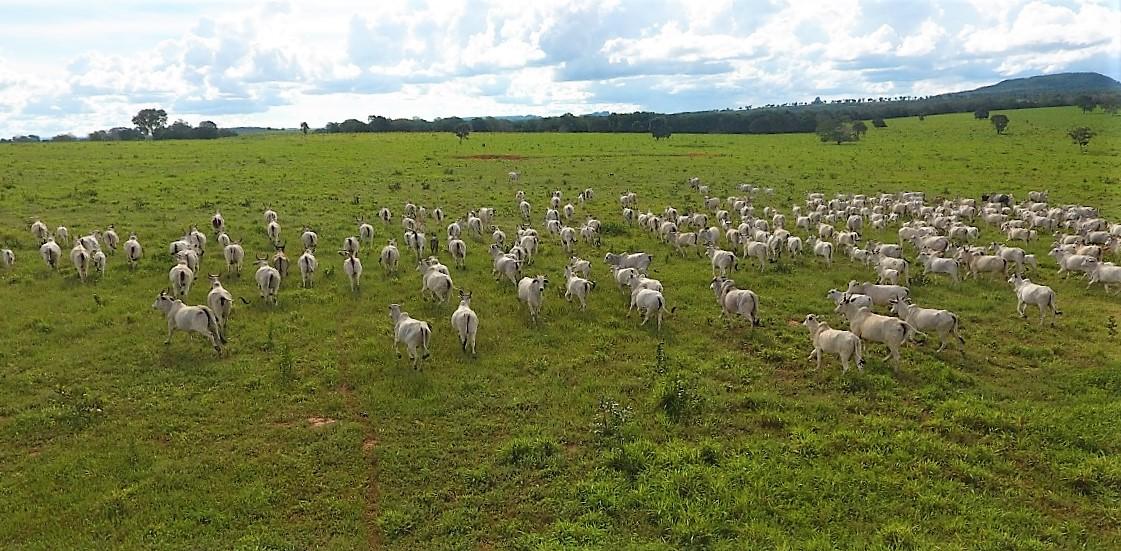 Imagem padrão