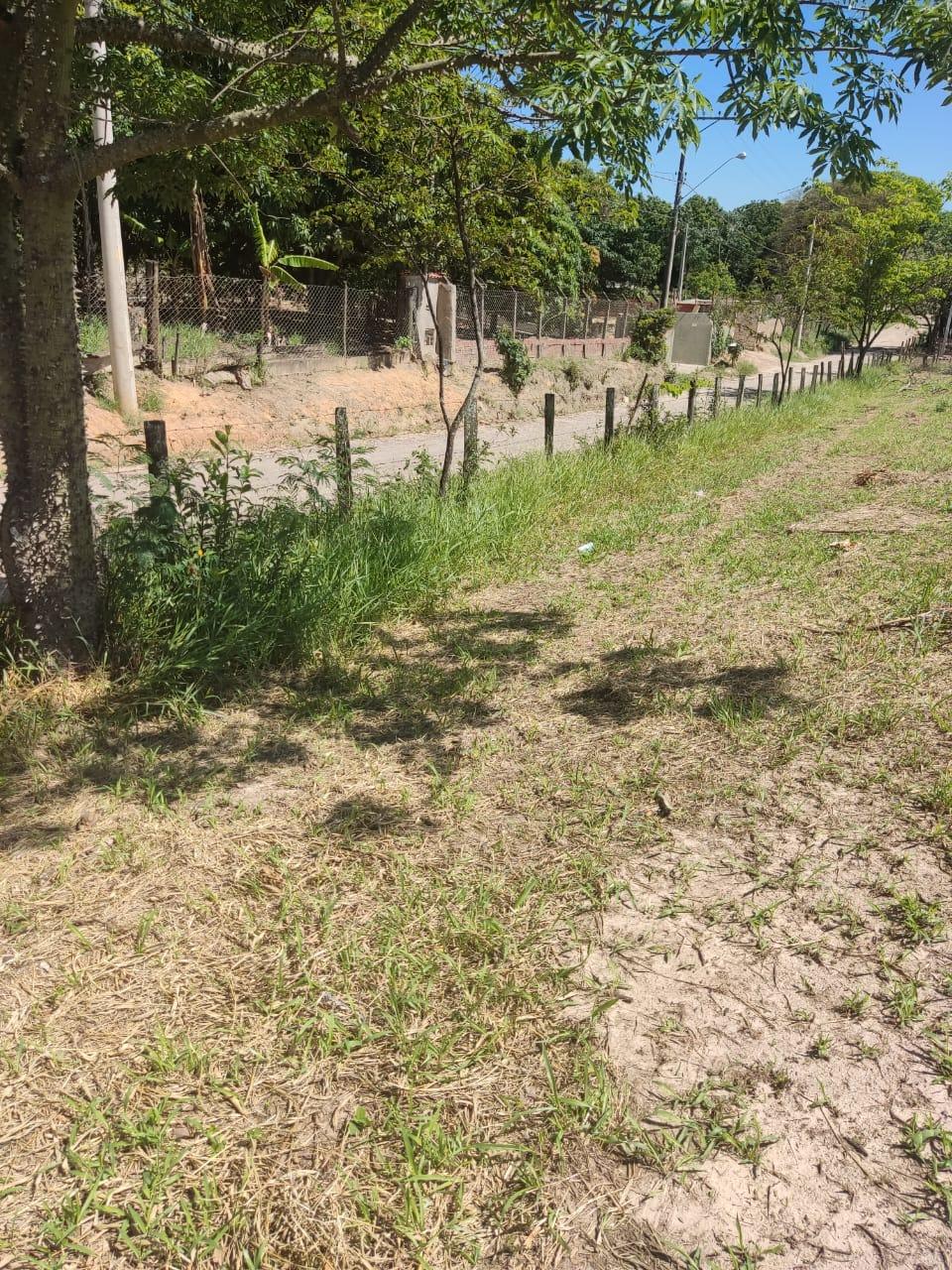 Imagem padrão