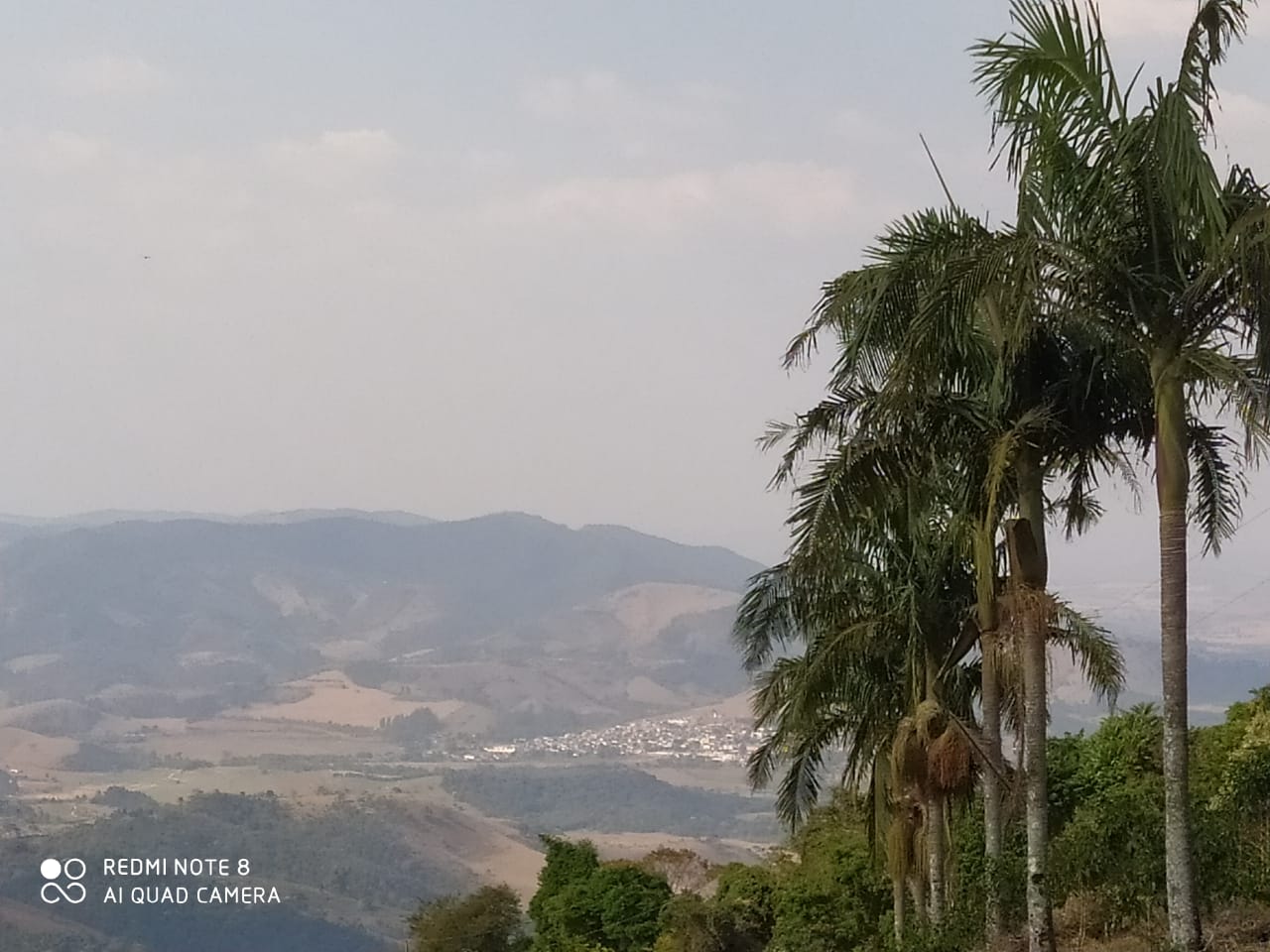 Imagem padrão