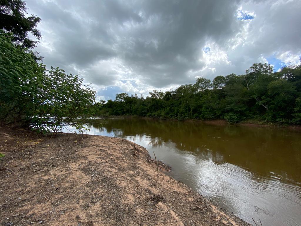 Imagem padrão