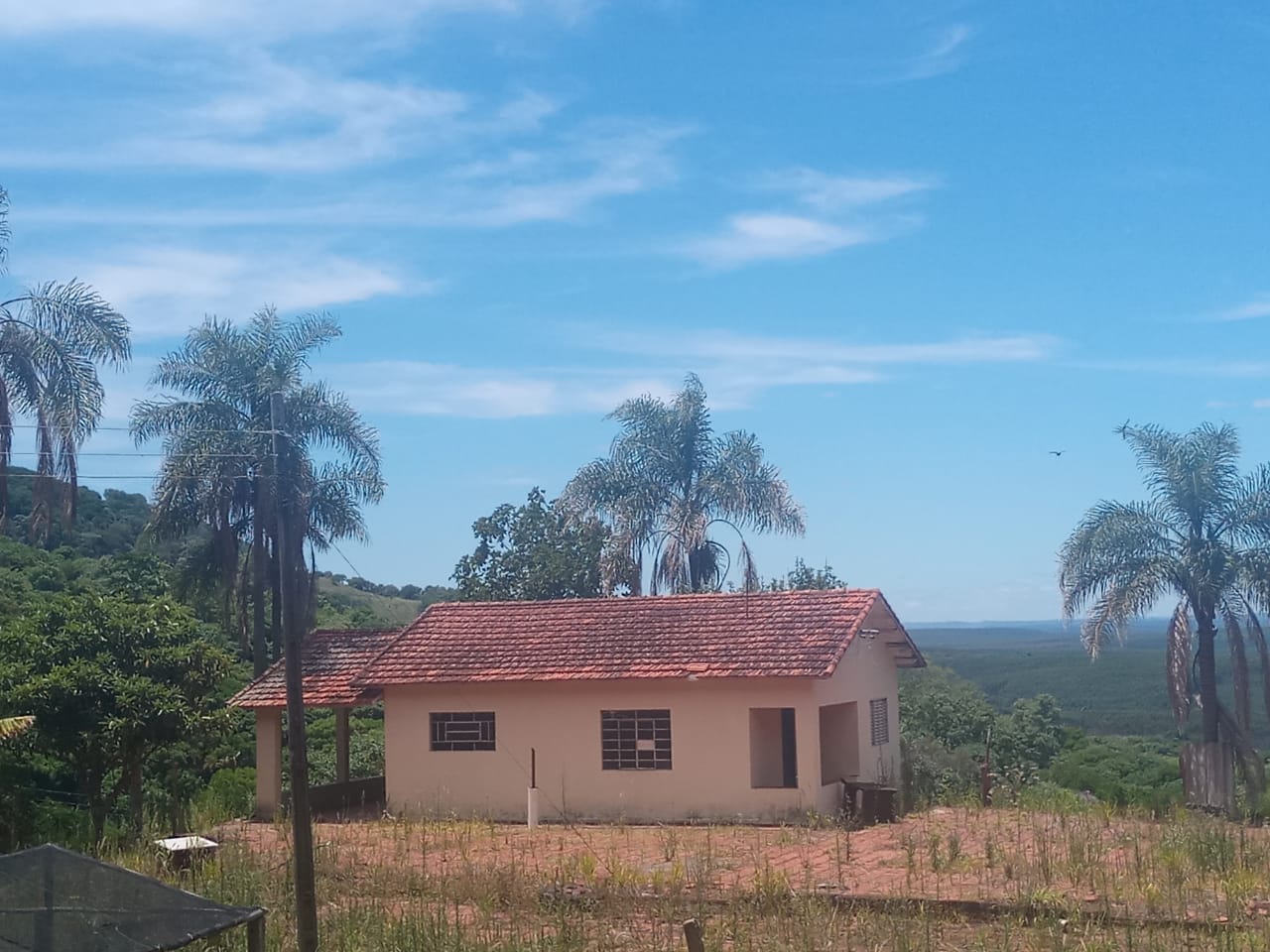 Imagem padrão