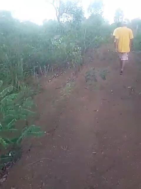 Imagem padrão