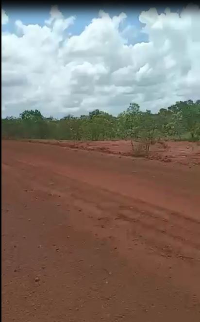 Imagem padrão
