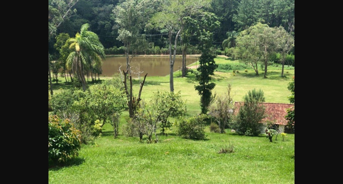 Imagem padrão