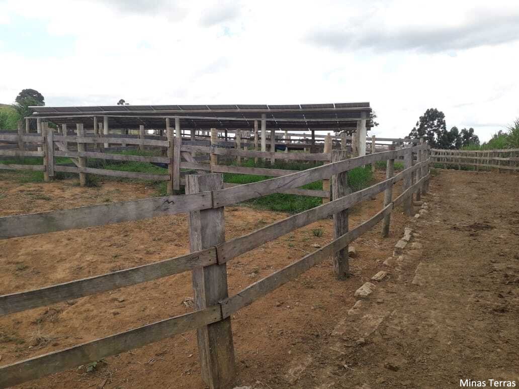 Imagem padrão