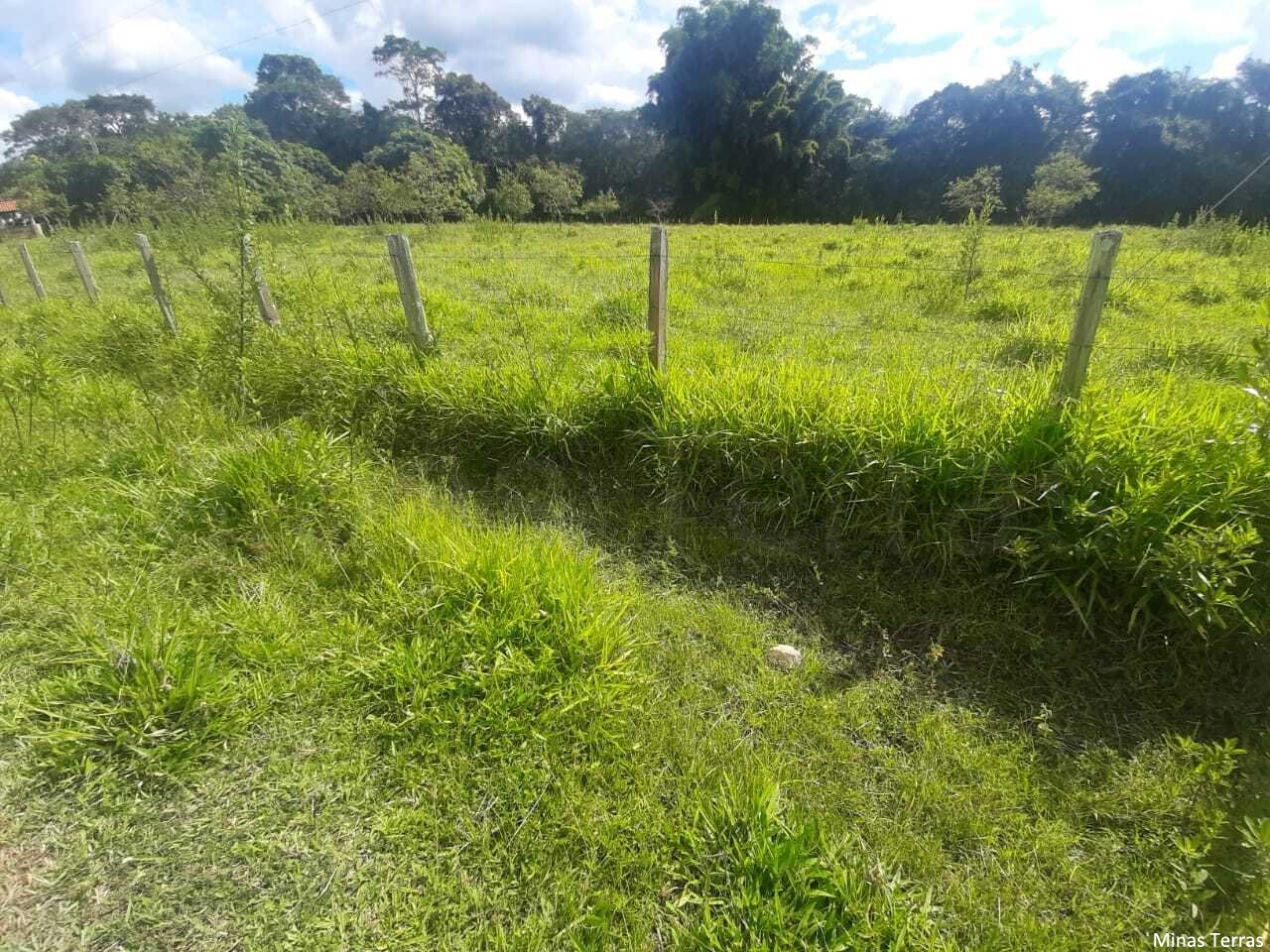 Imagem padrão