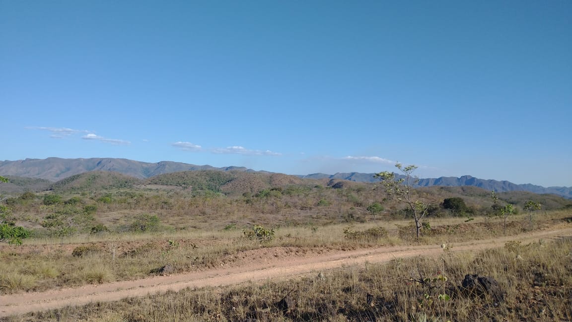 Imagem padrão