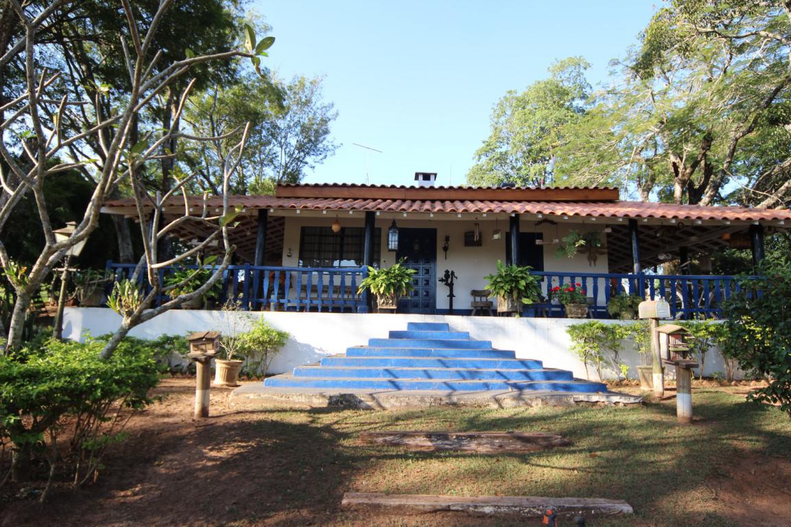 Imagem padrão