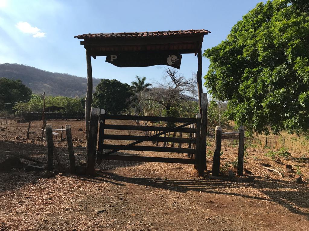 Imagem padrão