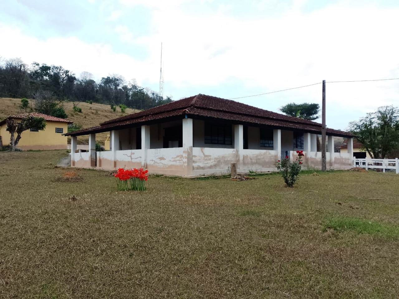 Imagem padrão