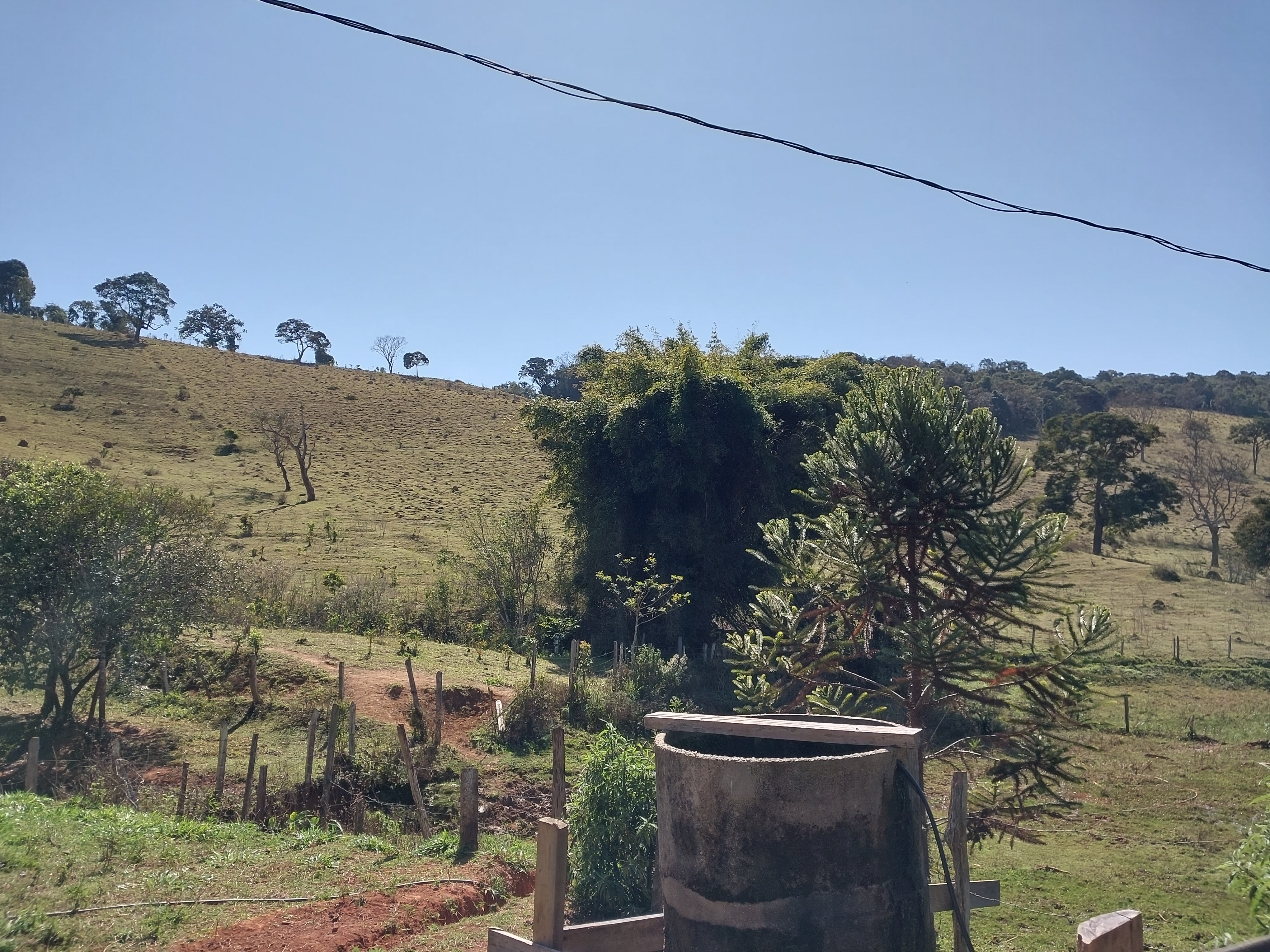 Imagem padrão
