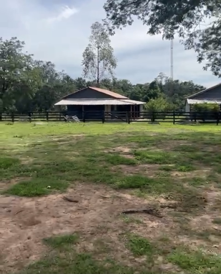 Imagem padrão