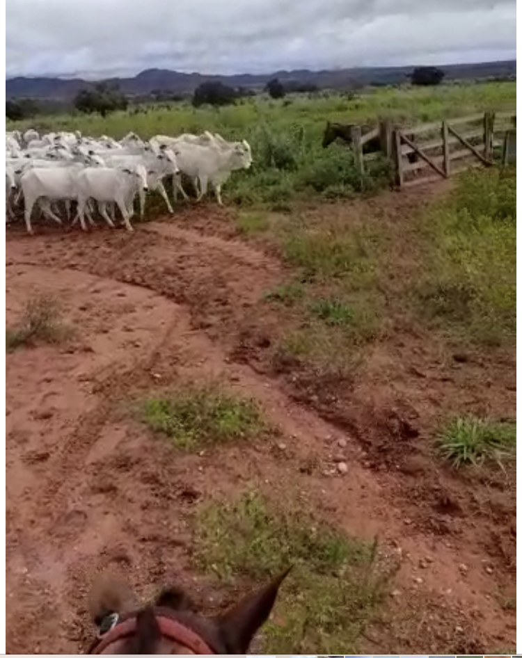 Imagem padrão