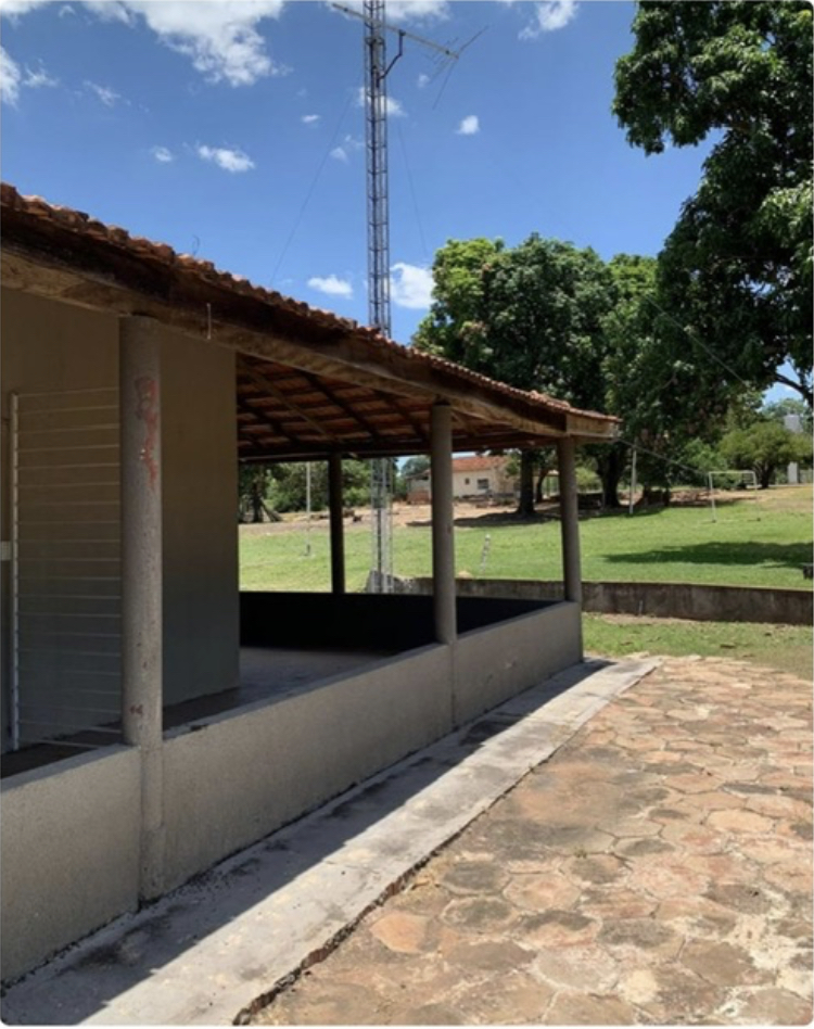 Imagem padrão