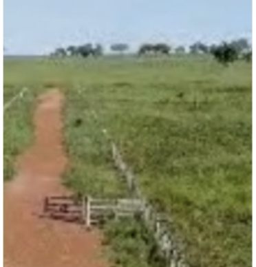 Imagem padrão