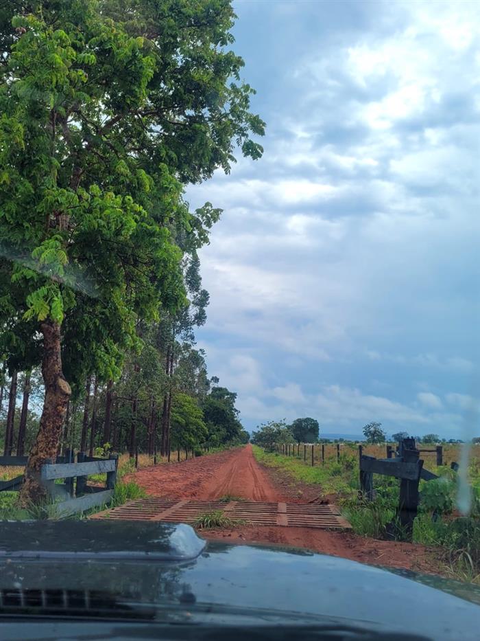 Imagem padrão