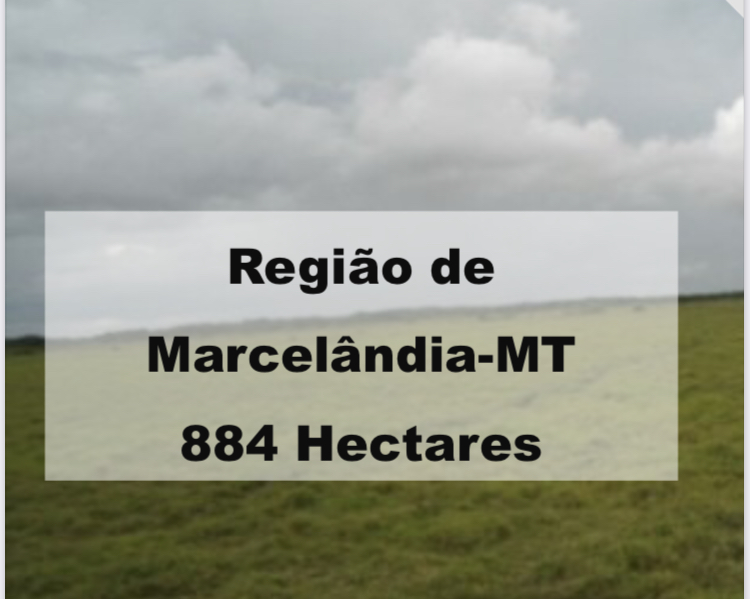 Imagem padrão