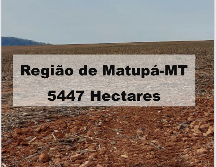 Imagem padrão