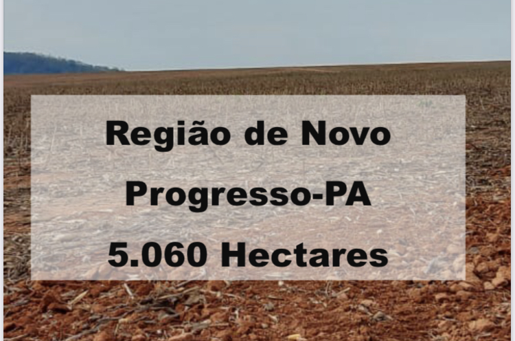 Imagem padrão