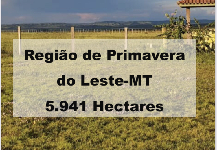 Imagem padrão
