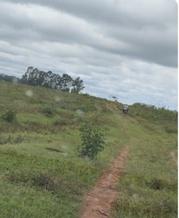 Imagem padrão