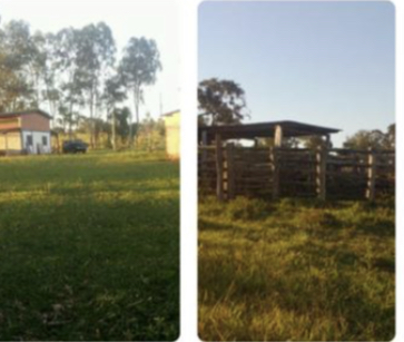 Imagem padrão